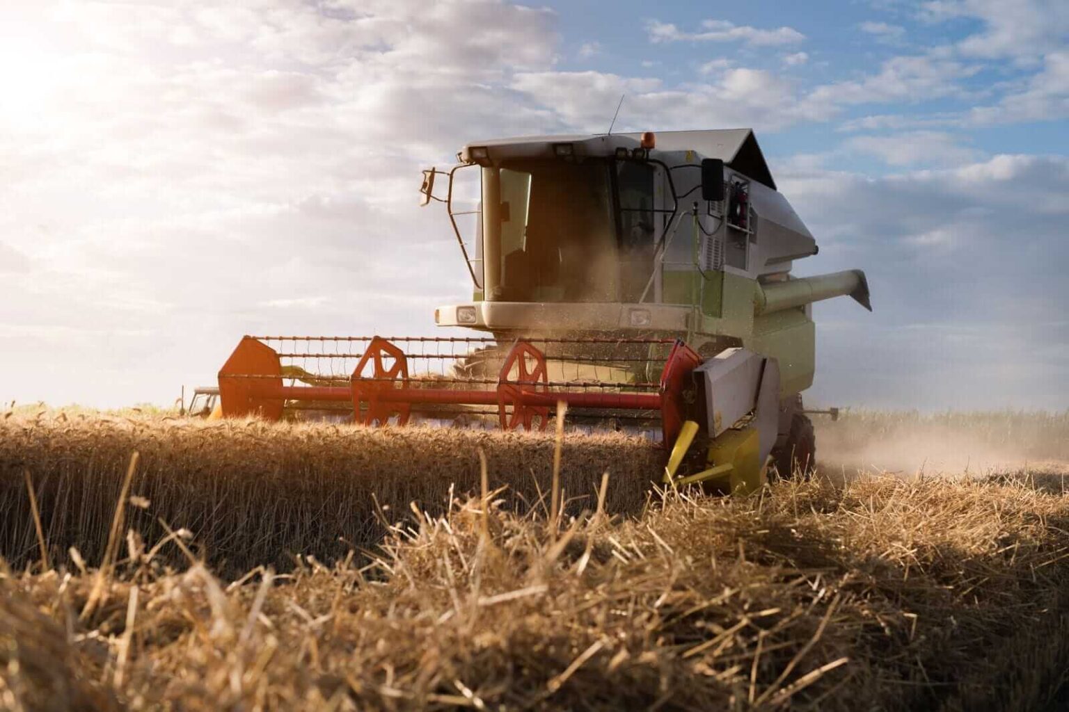 Wheat Pushing Higher on Tuesday Morning, as Condition Ratings Slip Wheat Pushing Higher on Tuesday Morning, as Condition Ratings Slip