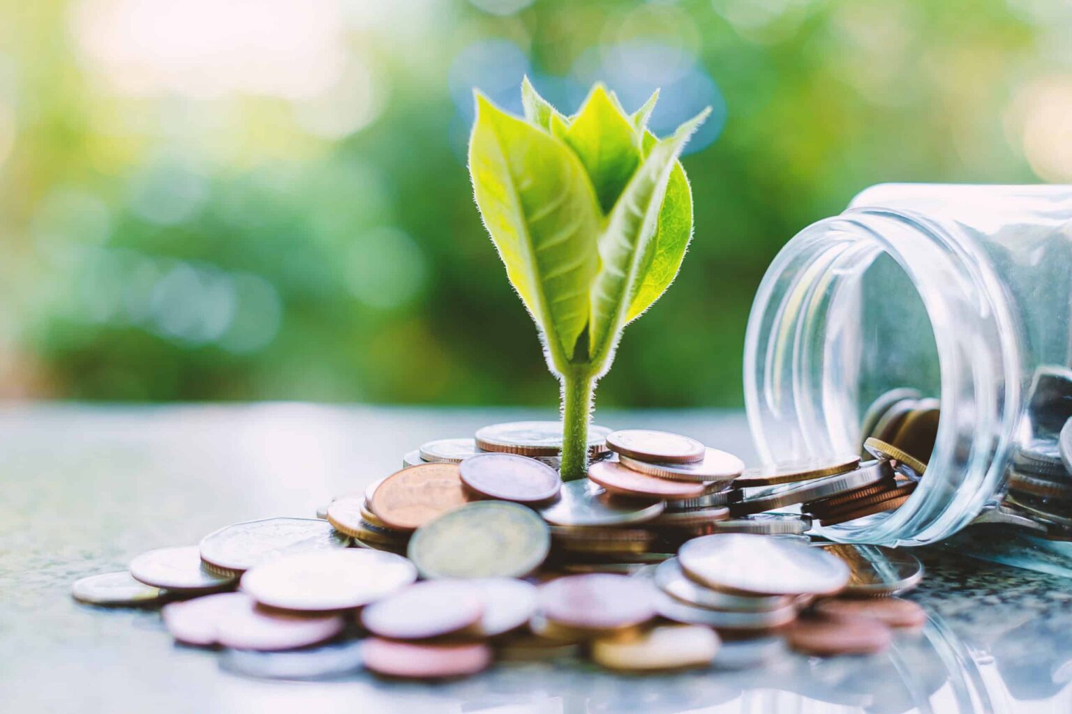 2 Canadian Growth Stocks Worth Adding to a TFSA This Year A plant grows from coins.