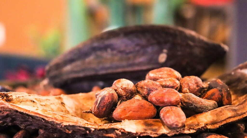 Weak Demand and Rising Inventories Weigh on Cocoa Prices